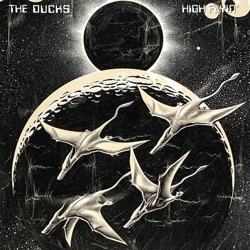 The Ducks - High Flyin' vinyl record cover