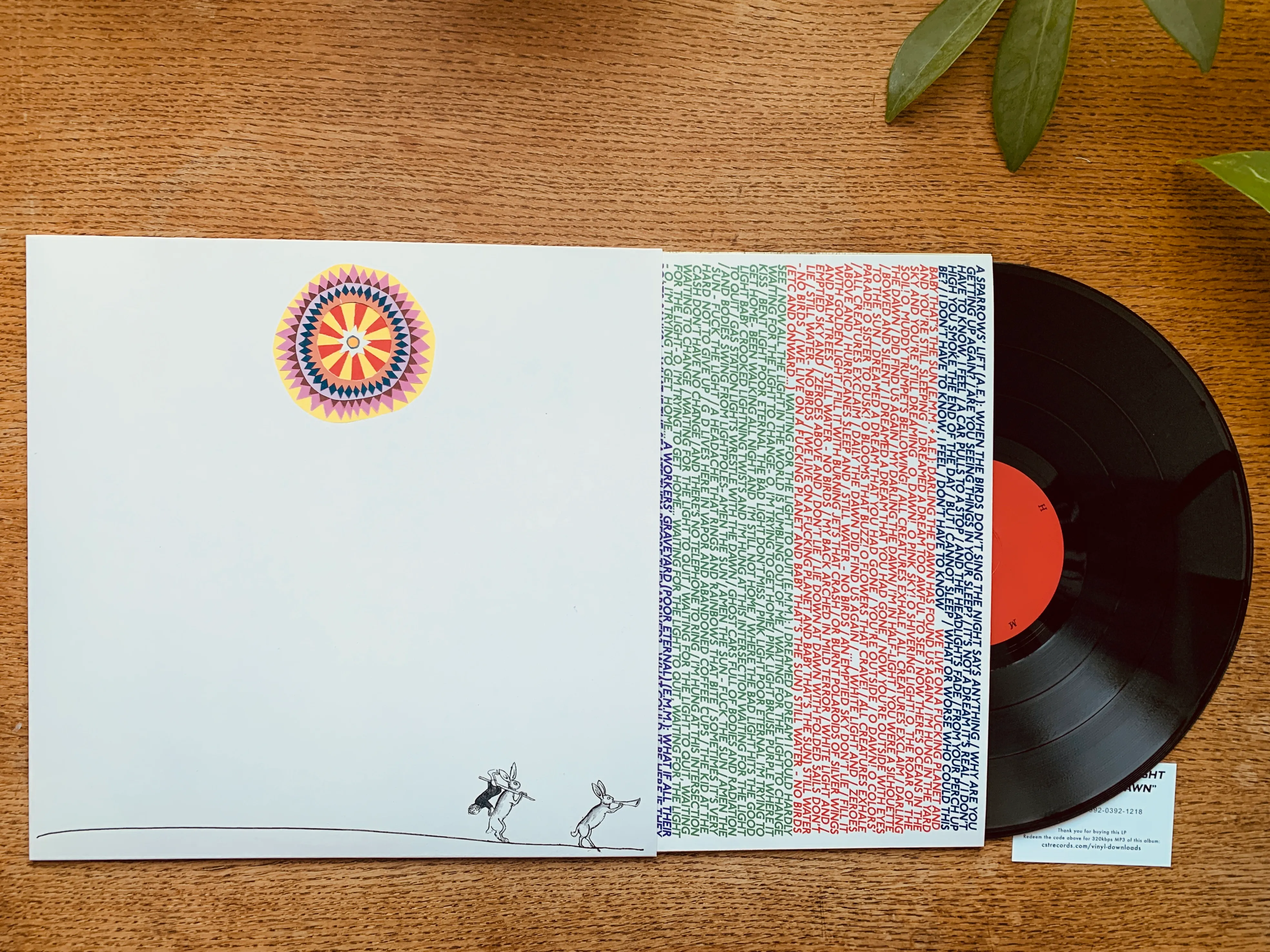 Packshot