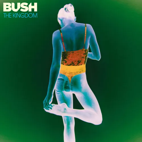 Bush - The Kingdom vinyl record cover