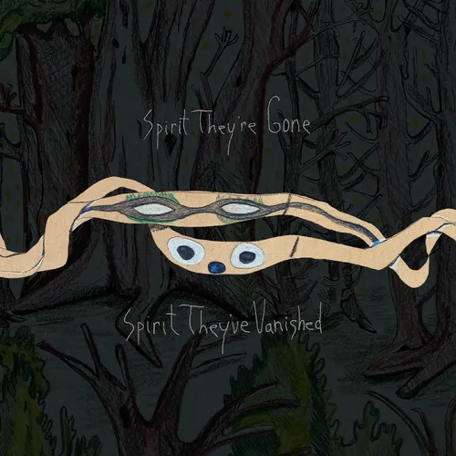 Animal Collective - Spirit They're Gone, Spirit They've Vanished: Remastered 2023 vinyl record cover