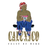 Feast of Wire: 20th Anniversary Deluxe Edition