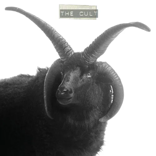 The Cult - The Cult vinyl record cover
