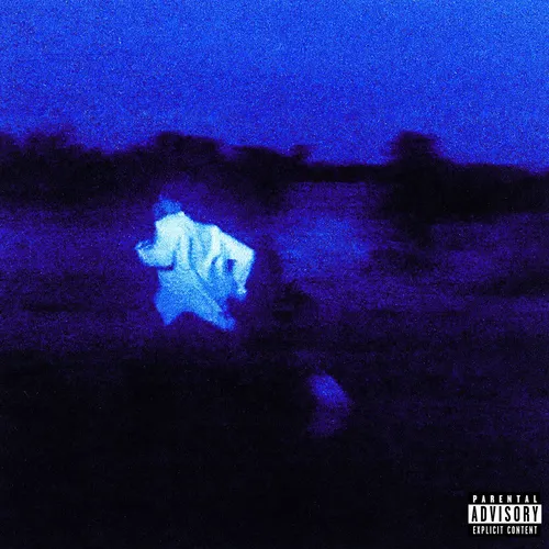 Daniel Caesar - NEVER ENOUGH vinyl record cover