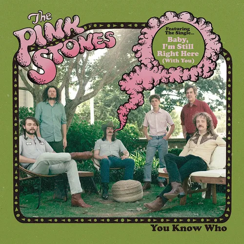 The Pink Stones - You Know Who vinyl record cover