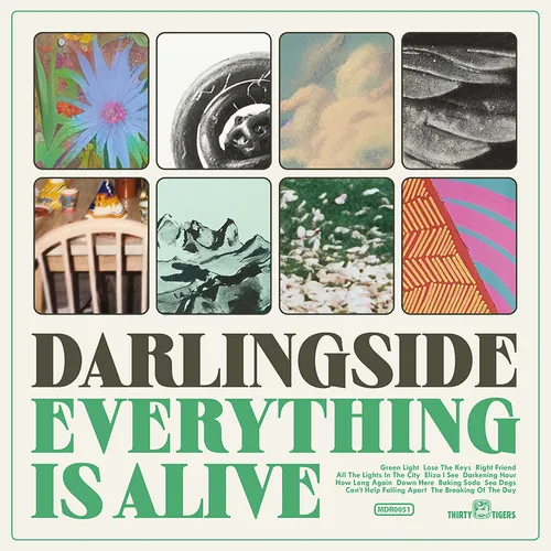 Darlingside - Everything Is Alive vinyl record cover