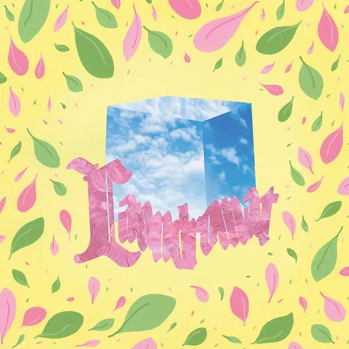 Pickle Darling - Laundromat vinyl record cover