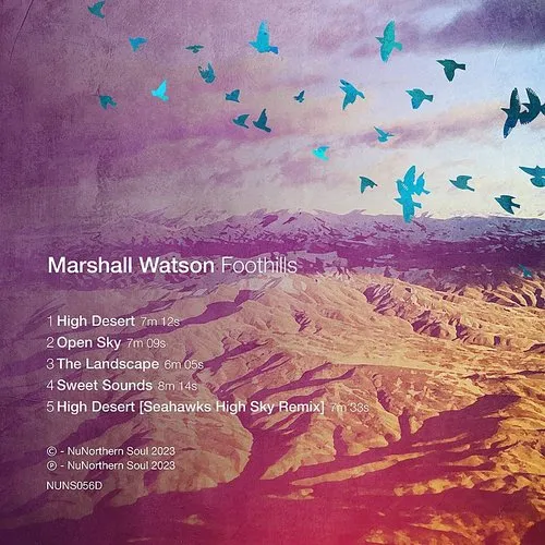 Marshall Watson - Foothills EP vinyl record cover