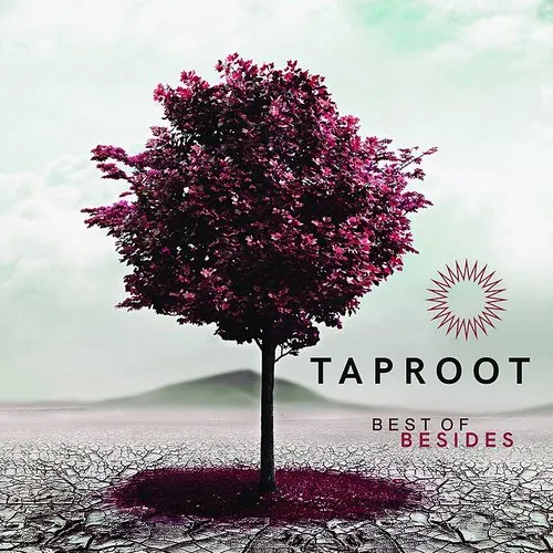 Taproot - Best Of Besides vinyl record cover