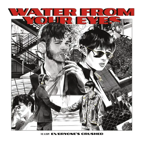 Water From Your Eyes - Everyone's Crushed vinyl record cover