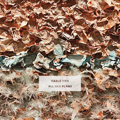Cable Ties - All Her Plans vinyl record cover