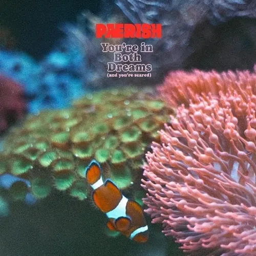 Pærish (Paerish) - You're In Both Dreams (And You're Scared) vinyl record cover