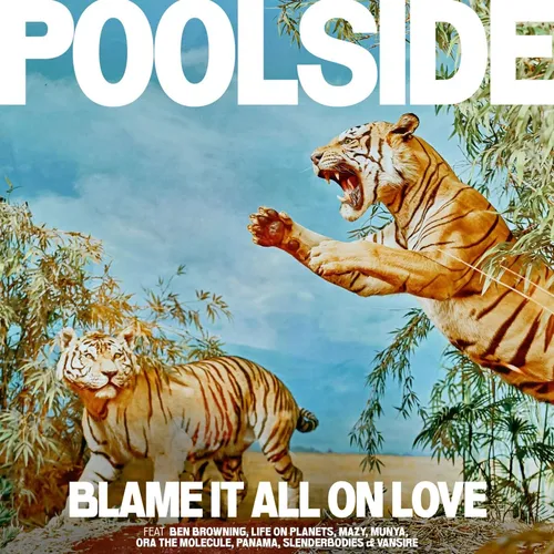 Poolside - Blame It All On Love vinyl record cover