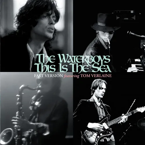 The Waterboys - This Is The Sea vinyl record cover