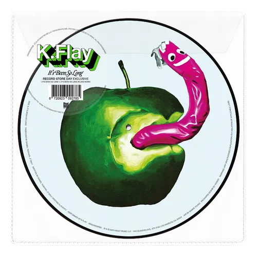 K.Flay - It's Been So Long vinyl record cover