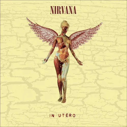 Nirvana - In Utero 30th [LP+10in] | Easy Street Records