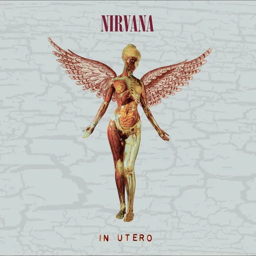 送料無料 いくらから Nirvana - 8LP Edition Deluxe [Super 30th Utero In 洋楽
