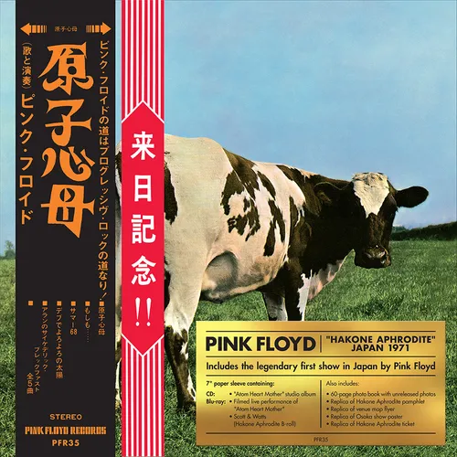 CD - Pink Floyd