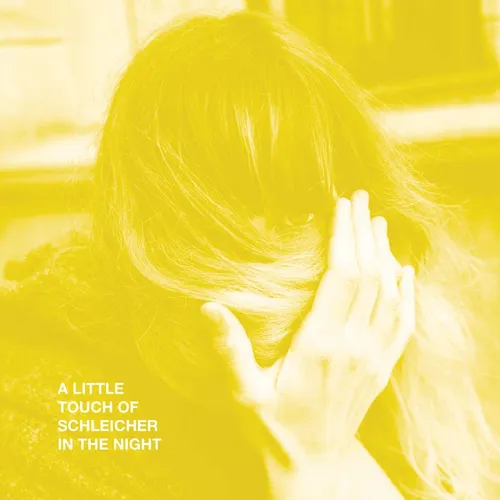 Katie Von Schleicher - A Little Touch Of Schleicher In The Night vinyl record cover