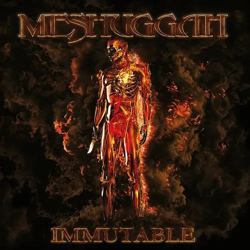 Meshuggah - Immutable vinyl record cover