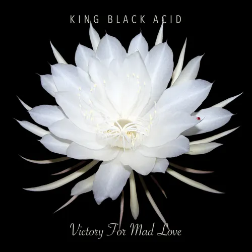 King Black Acid - Victory For Mad Love vinyl record cover