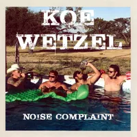 Noise Complaint