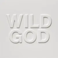 Nick Cave & The Bad Seeds - Wild God [LP]