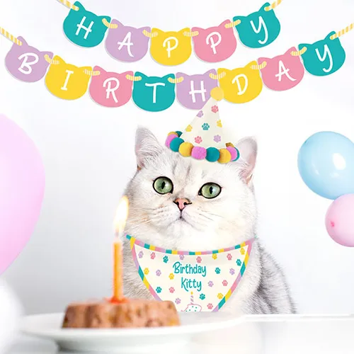 Pet Supply - Cat Birthday Kit