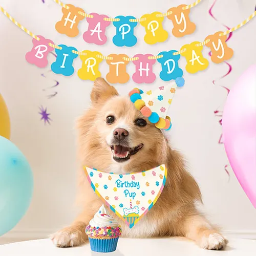 Pet Supply - Dog Birthday Kit