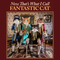 FANTASTIC CAT	 - NOW THAT'S WHAT I CALL FANTASTIC CAT [LP]