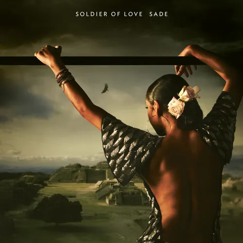 Album Art - Soldier Of Love [LP]