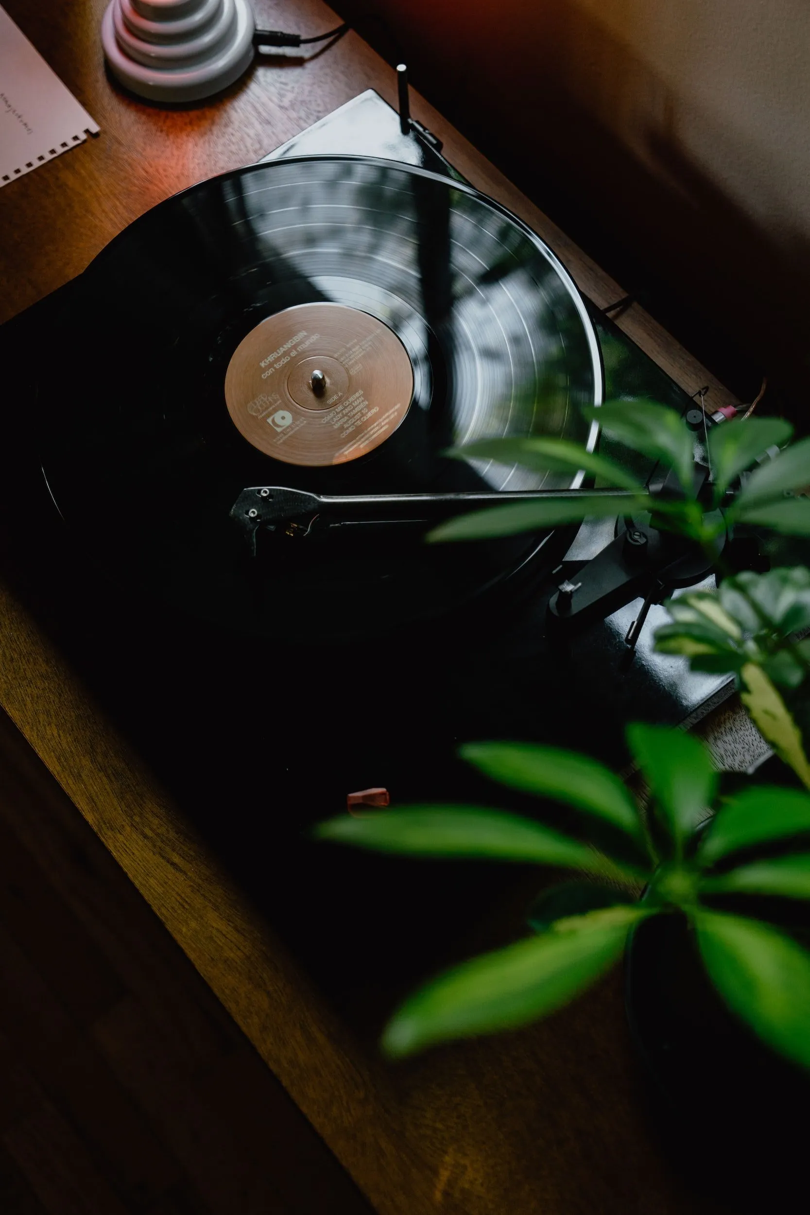 Cleaning Your Records | Gray Cat Music