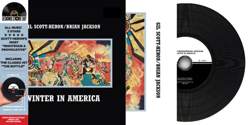 Artist - Winter In America vinyl record cover