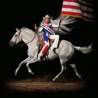 COWBOY CARTER OFFICIAL VINYL