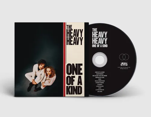 The Heavy Heavy - One Of A Kind vinyl record cover