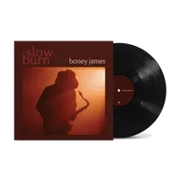 Boney James - Slow Burn [LP]