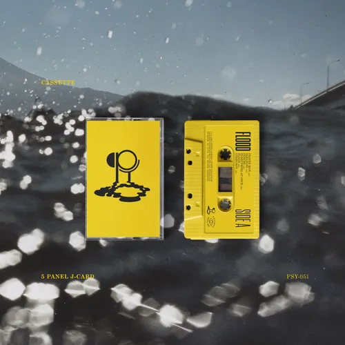 Hippo Campus - Flood [Yellow Cassette]