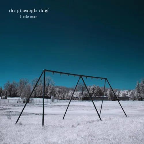 The Pineapple Thief - Little Man - vinyl record cover