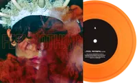 The Plot In You 7"
