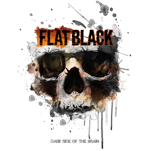Flat Black - Dark Side Of The Brain [2 LP]