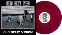 29:29 Split Vision