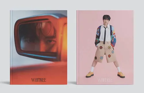 Nam Woo Hyun - Whitree - Random Cover (Asia)