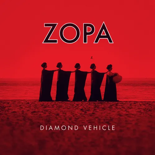 Artist - Diamond Vehicle vinyl record cover