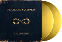 Flatland Forever