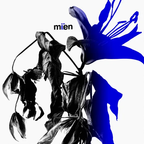 Mien - MIIEN vinyl record cover