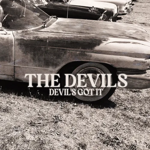 The Devils - Devil's Got It vinyl record cover