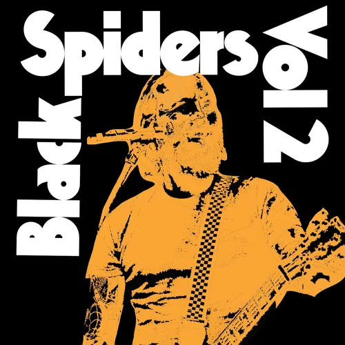 Black Spiders - Volume 2 vinyl record cover