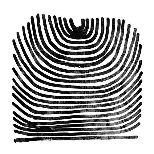 Rival Consoles - Howl vinyl record cover
