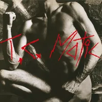 T.C. Matic