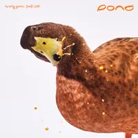 Early Years: 2008 - 2010 (Rsd)