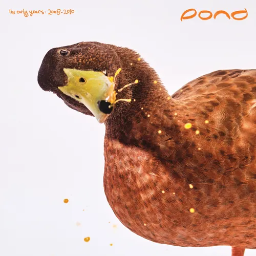 POND - Early Years: 2008 - 2010 (Rsd) vinyl record cover